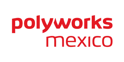 PolyWorks México