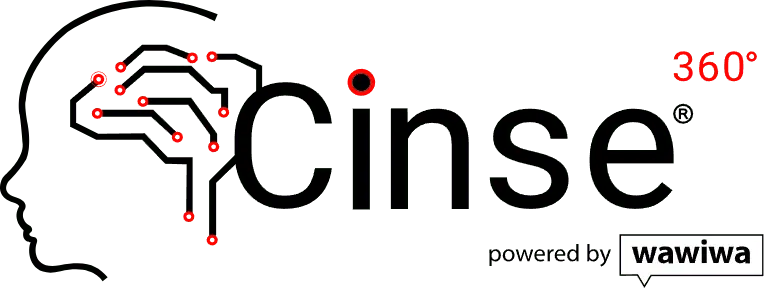 CINSE 360