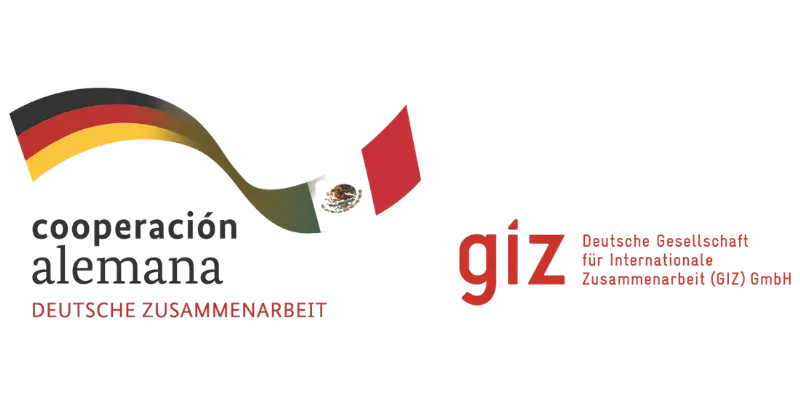 GIZ